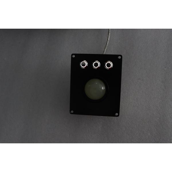 IP67 Vandal Proof Trackball Pointing Device Backlight Wired Trackball Mouse