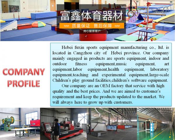 Anti Static Gym Vaulting Horse , Male Gymnast Pommel Horse Any Size Available