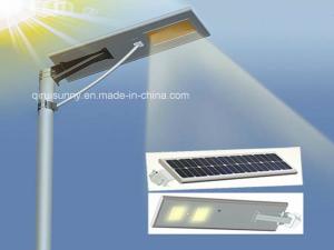 China IP66 Rated 15W Motion Sensor Solar Garden Light Customization for Your Garden Space wholesale