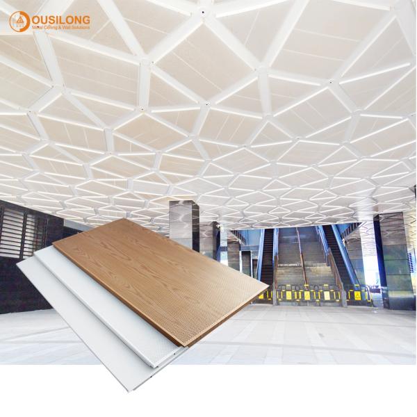 PVDF Coating Perforated Suspended Metal Clip In Ceiling