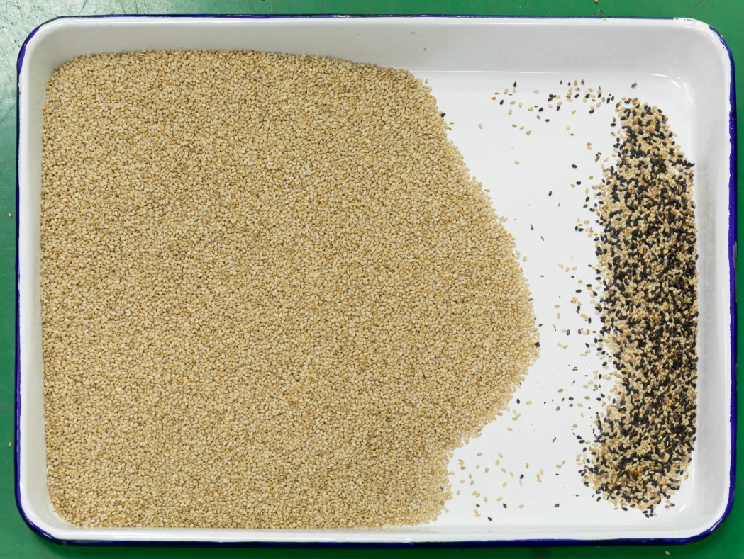 1T/H Grain Color Sorting Machine Rice Selection Automatic Computing