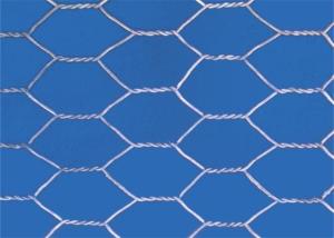 China Corrosion Resistant 5M BWG14 Hexagonal Wire Netting on sale