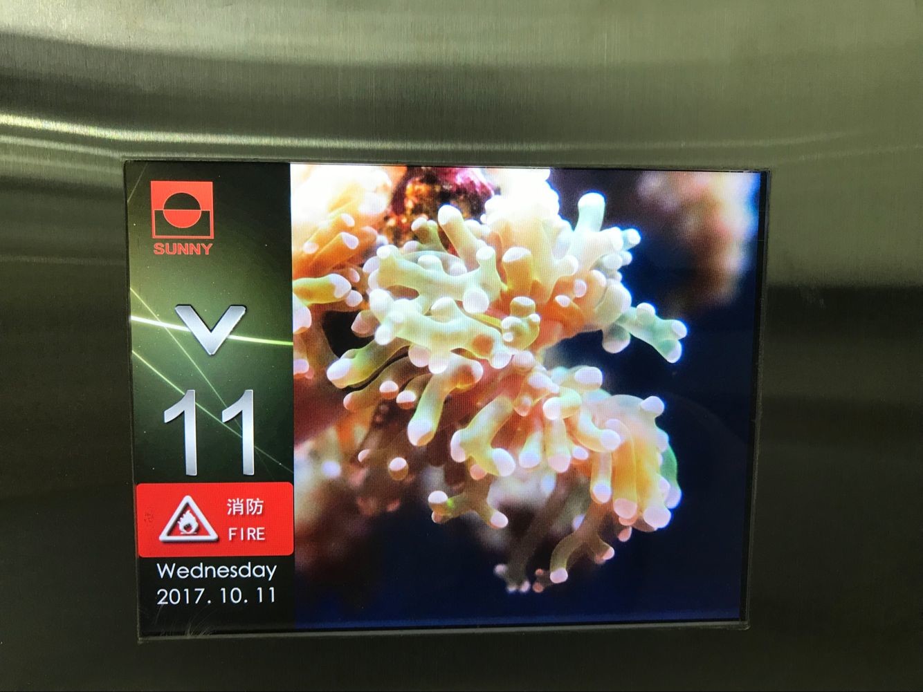 Cabin Control Elevator LOP COP Display / Elevator Display Board