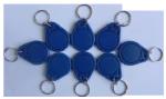 Custom Designed Embedded RFID Key Fob With ISO15693 ISO14443A Standard