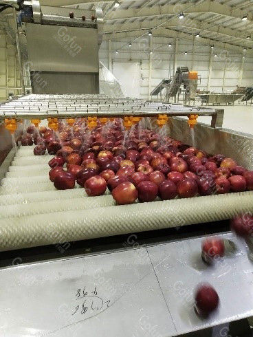 SUS304 Automatic Apple Processing Line For Puree 20t/H