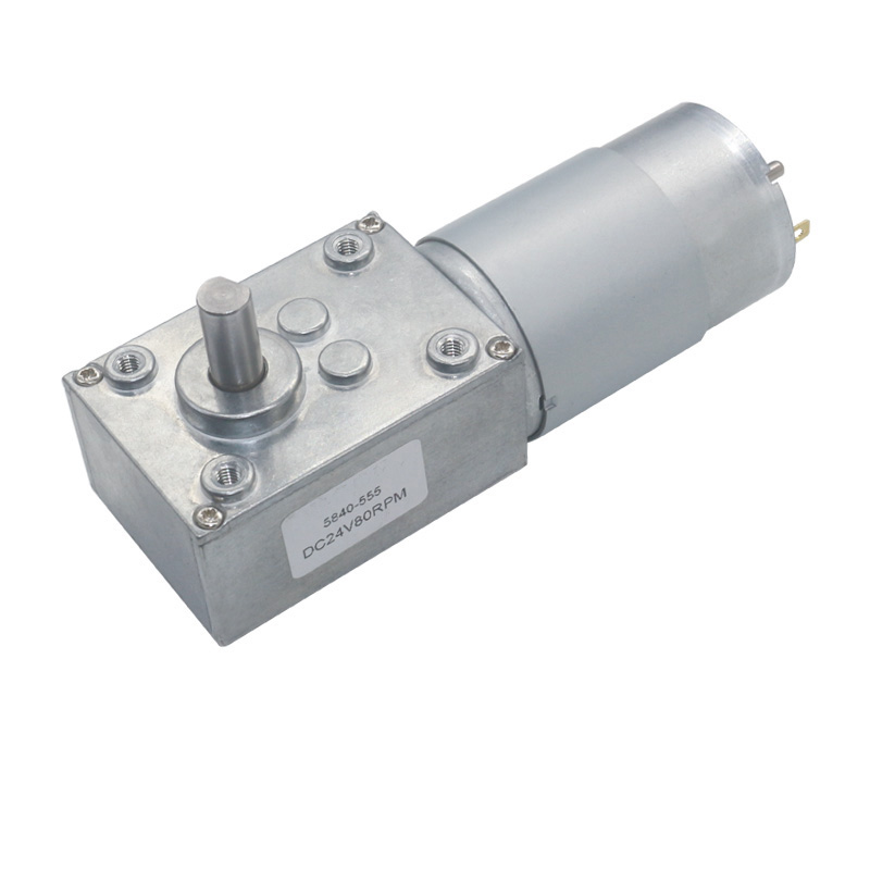 5840 31zy DC Worm Gear Motors Type D Shaft 24v Gear Motor With Encoder
