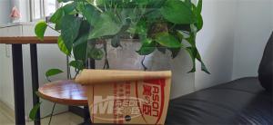 Cast 4x8Ft Plexiglass Clear Acrylic Sheet Impact Resistance