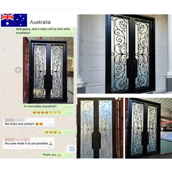 China Patio Single Pocket Double Door Main House Entry Entrance Wrought Iron Door with Elegant Decorative Design