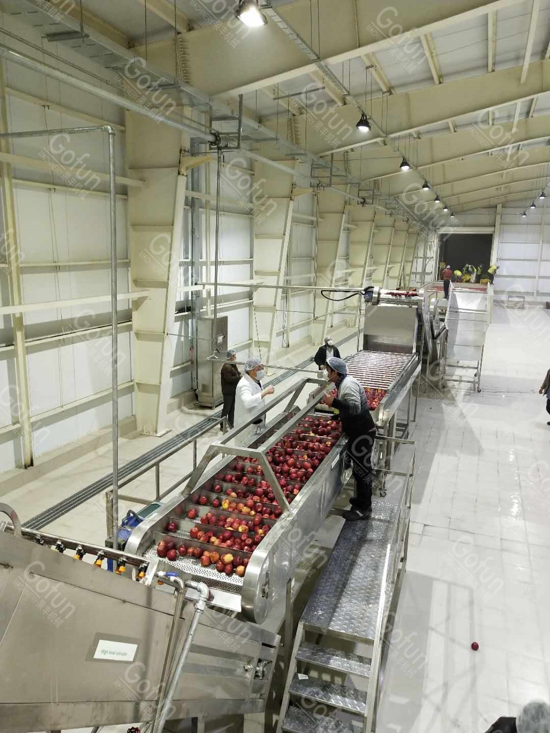 SUS304 Automatic Apple Processing Line For Puree 20t/H