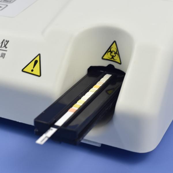 Home Clinic Laboratory Medical Equipment Automated Urine Dipstick Analyzer