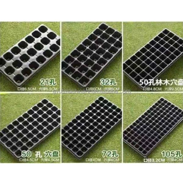 Hydroponic Sponge Seed Planter Line for Seeding Cucumbers and Squash Automatically