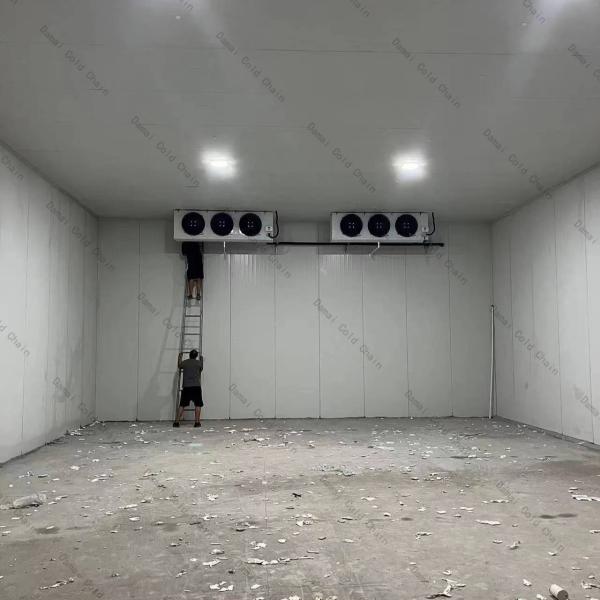 Walk In Chiller Cold Room walk in cooler for retain refresh fruit meat freezing