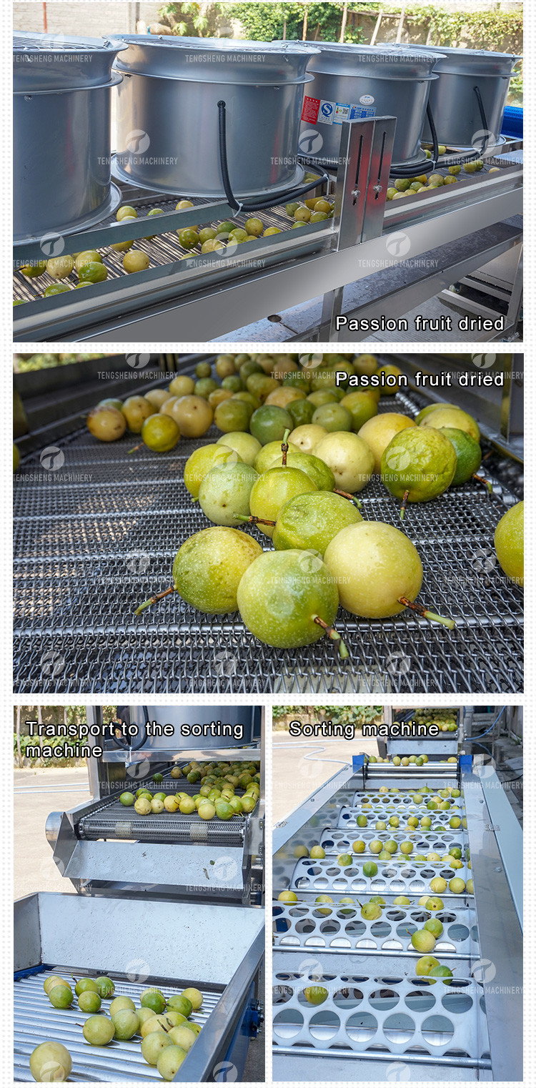 Silvery Personalization Passion Fruit And Vegetable Processing Line Fruit Cleansing Drying