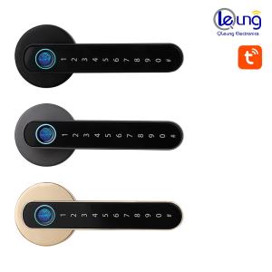 China S604L Fingerprint Door Locks Tuya Smart Lock Door Thickness 35mm-55mm wholesale