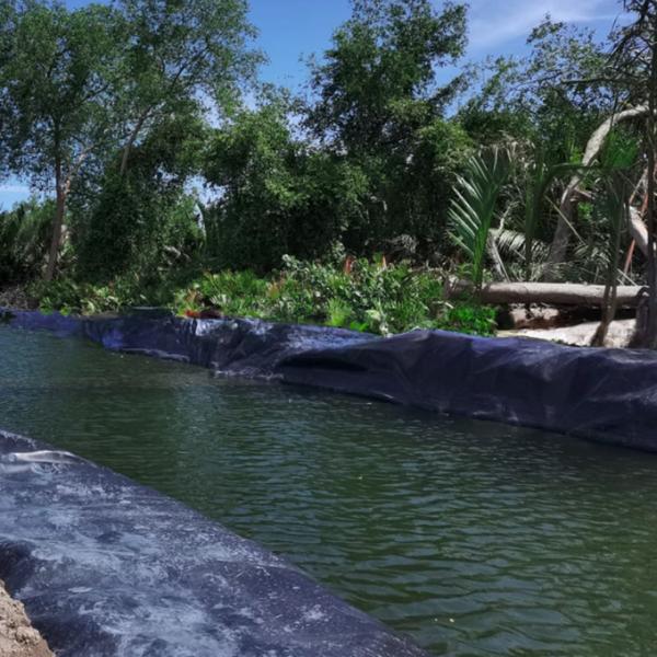0.2mm-3mm Thickness CE Standard HDPE Geomembrane Sheet for Large Plastic Fish Ponds