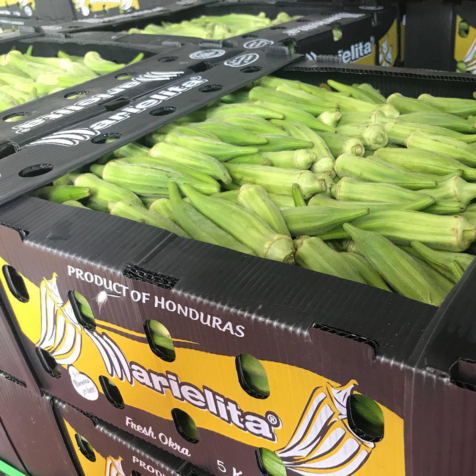 Correx Corn Vegetable Corrugated Boxes Corrugated Plastic Shipping Boxes