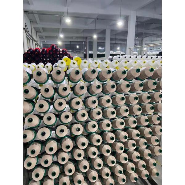 High Tensile Strength 100% TEX270 840D/3 400g Polyester Sewing Thread for Leather Durable