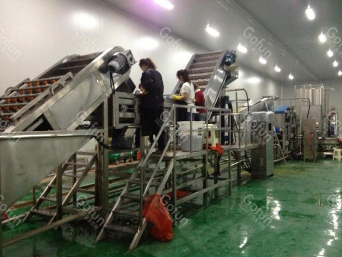 10T/H 440V Mango Puree Processing Line Flexible Operation Support
