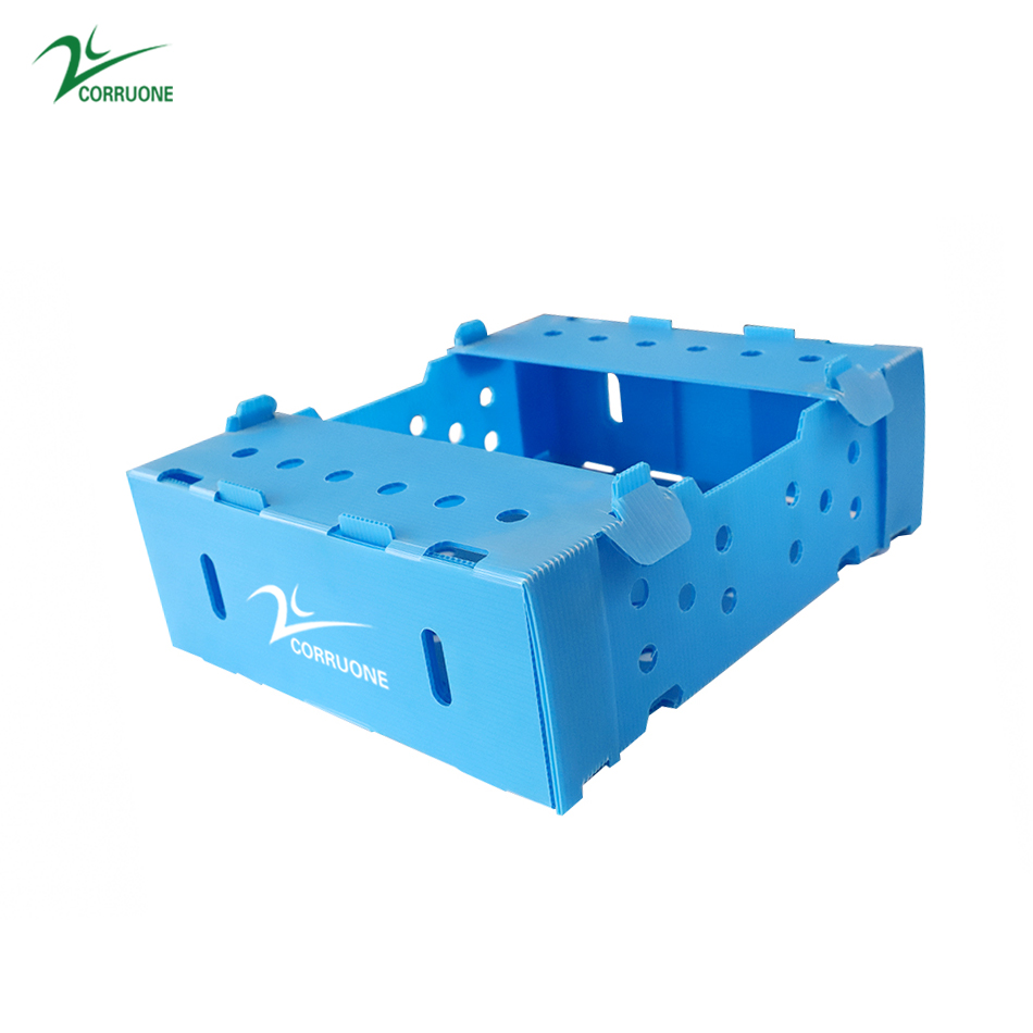 Correx Corn Vegetable Corrugated Boxes Corrugated Plastic Shipping Boxes