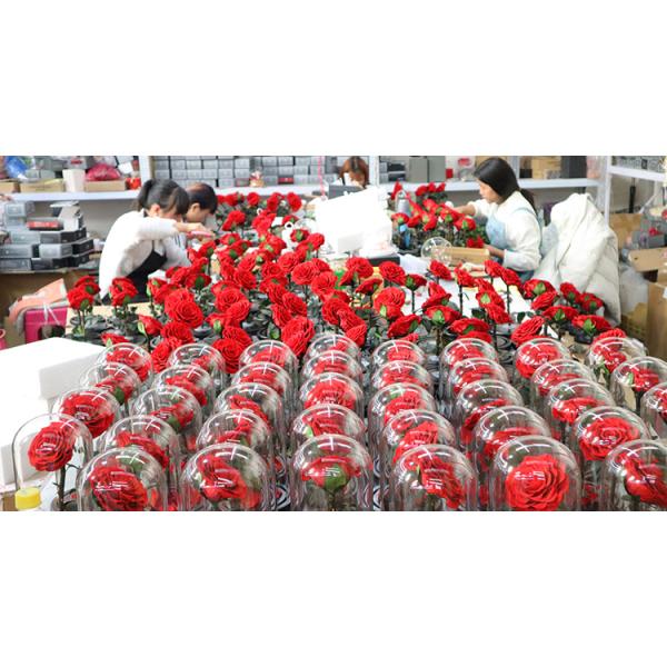 5-6cm Eternal Everlasting Preserved Rose Heads A Grade