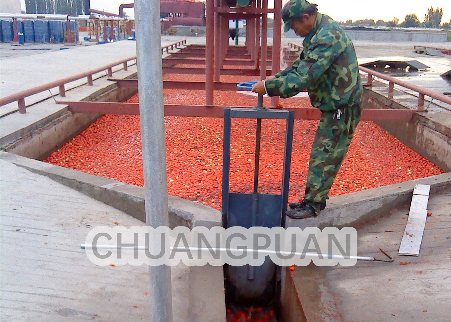 Tomato Paste Production Line|Energy-Saving 1-10T/H Aseptic Bag Package Tomato Paste Processing Machine