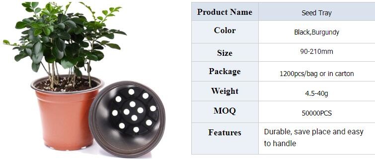 HOTICULTURAL MULCH FILM,AGRICULTURAL PE FILM,MARKET GARDENERS CLOCHE FILM,PE FILM FOR CORN,PLASTIC FILM COVER,TOMATO COV