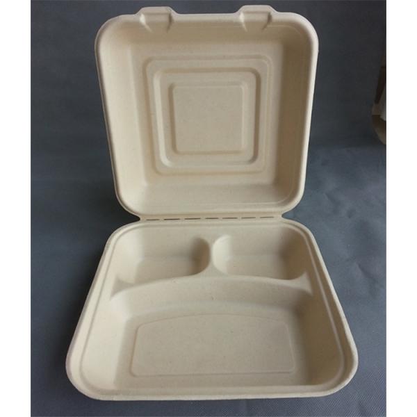 3 Compartment Biodegradable Disposable Microwave Fast Food Container