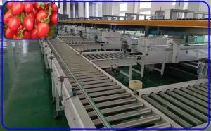 China Intelligent Tomato Sorting Equipment 3 Channel Automated Sorting Systems wholesale
