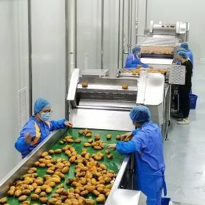 Automatic Mango Juice Processing Machine Production Line 1t/H - 20t/H