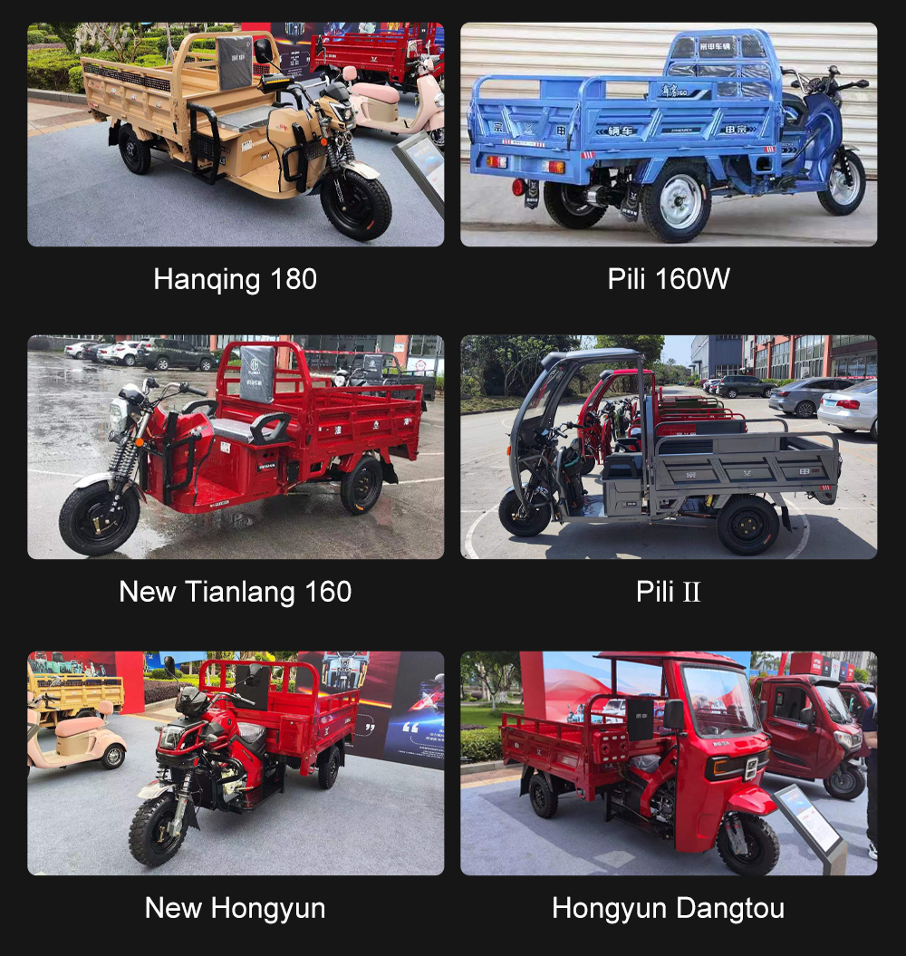 1000W Small Electric Tricycle for Cargo Transportation in Pakistan Durable and Versatile