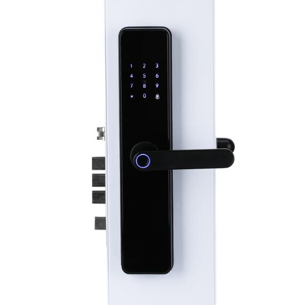 Biometric Fingerprint Door Lock Security Keyless Security Door Locks