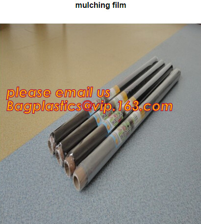HOTICULTURAL MULCH FILM,AGRICULTURAL PE FILM,MARKET GARDENERS CLOCHE FILM,PE FILM FOR CORN,PLASTIC FILM COVER,TOMATO COV