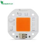 High Lumen Output 50W LED Chip