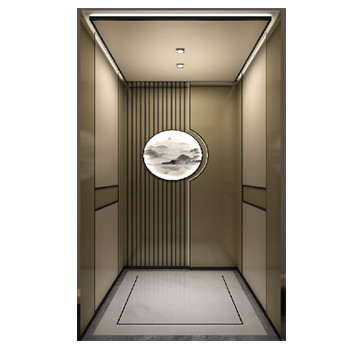 Multiple Decorative Style Home Villa Elevator Private Residence Use