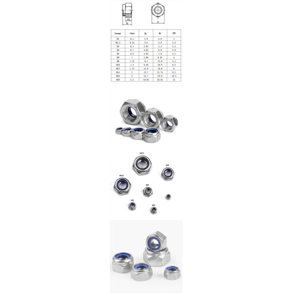 Ss Metric M3 Hex Nylock Nut Alloy Steel Fasteners