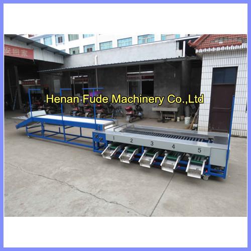 Quality dates sorting machine, date grading machine,dates sorter, date grader for sale