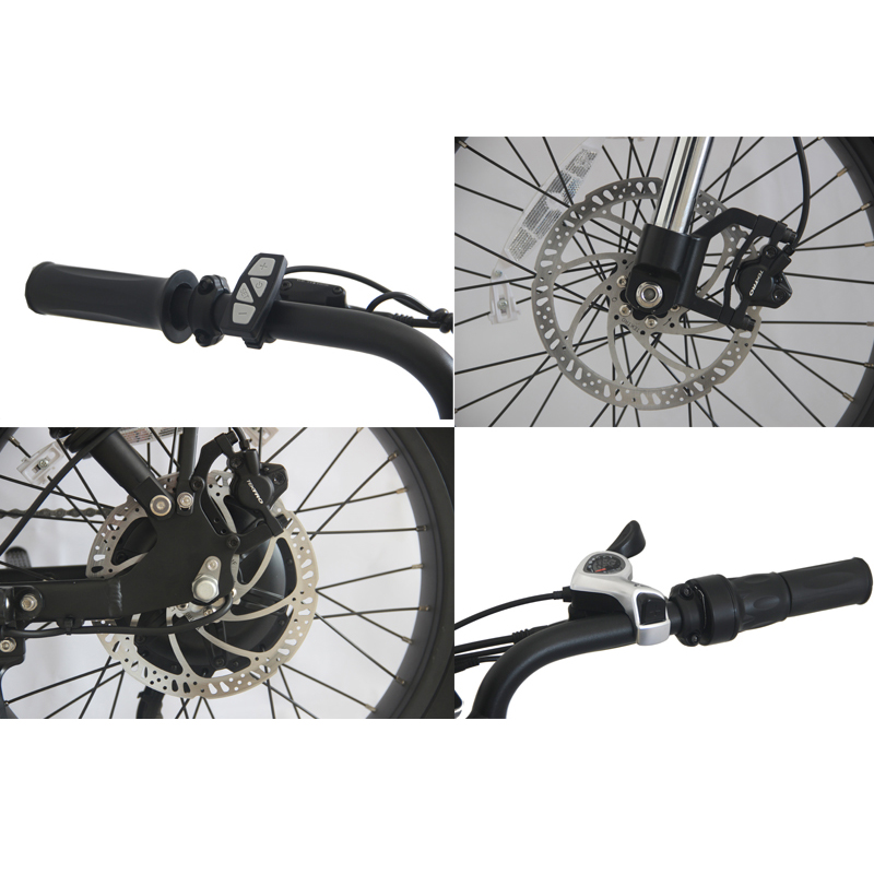 Adult Customized Color Vintage Electric Bike with 7 Speed Gears Step Through Fat Bike