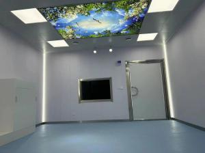 10Hz - 100Hz Faraday Container Rf Shielding For Mri Rooms For Protecting Sensitive Equipment