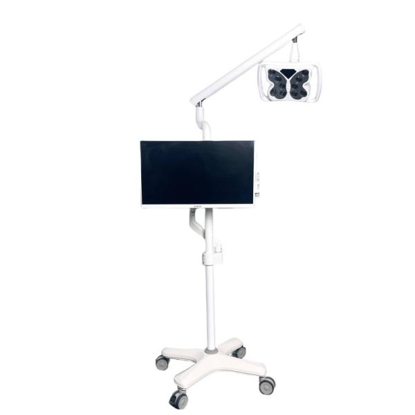 Quality 4 Universal Wheels Cold Light Teeth Whitening System Butterfly Shape Teeth Bleaching Equipment for sale