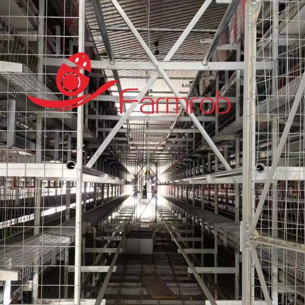 Quality Large Space Big Cage Free System 3 Tiers - 6 Tiers For Chicken Farm for sale
