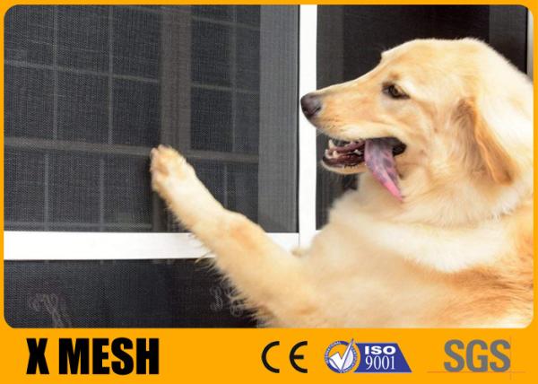 Quality 15 X 10 Mesh Cat Proof Window Screen Anti Aging For Pet House for sale