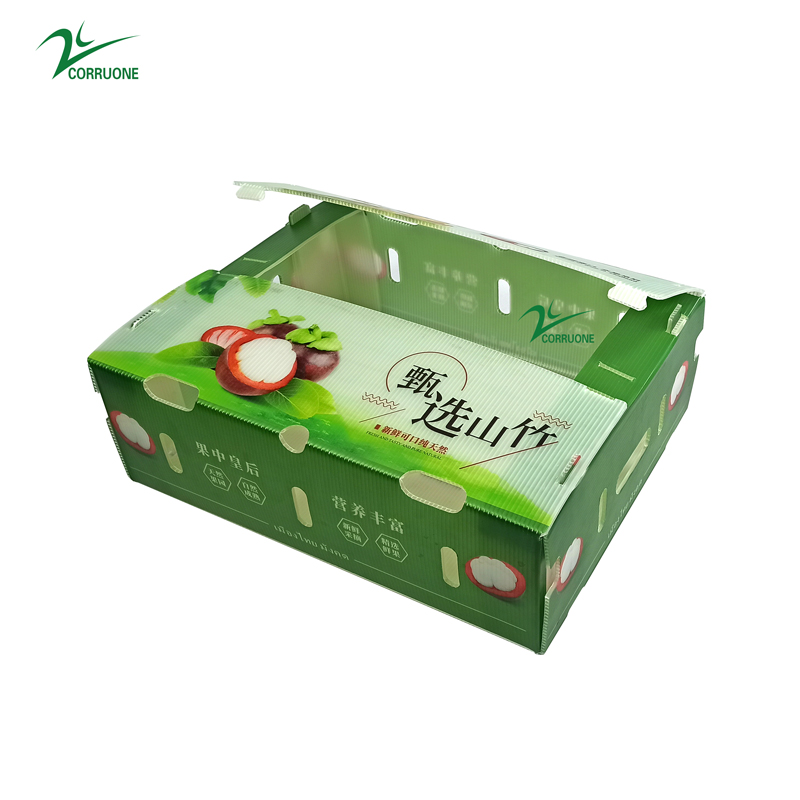 Correx Corn Vegetable Corrugated Boxes Corrugated Plastic Shipping Boxes