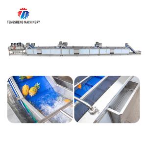 China vegetable wash line pineapple juice processing line Pineapple bubble washing and vibrating air-drying line fruit processing machinery pineapple wholesale