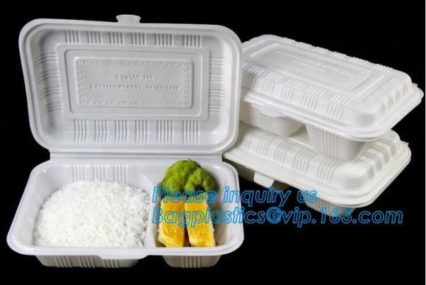 Compartment Food Container Round Food Containers Rectangular Food Containers