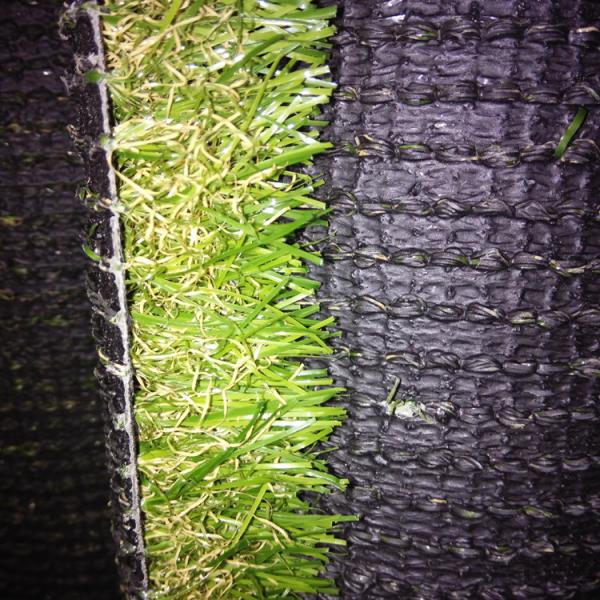 Quality PP PE Vertical Artificial Moss Grass Wall Decoration S U C Shape Available for sale