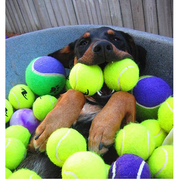 40mm mini tennis ball
