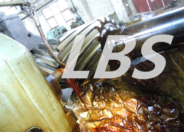 Large Diameter Nylon Plastic Injection Molded Spur Worm Gear