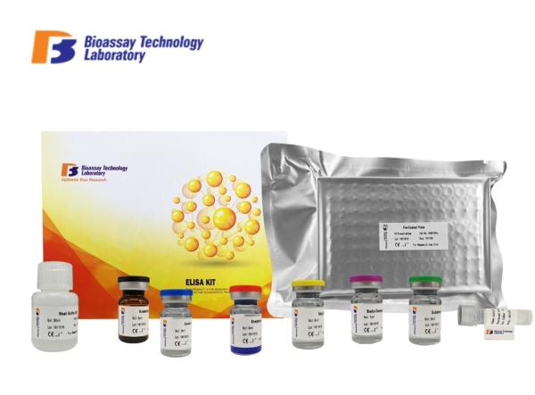 Quality Porcine Angiotensin Ⅱ Sandwich Immunoassay ELISA Kit 96 Well Plate 2 Hours Assay Time for sale