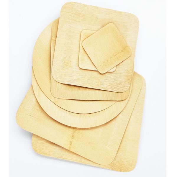Rectangle Dinner Disposable Bamboo Plate Natural Color Customized