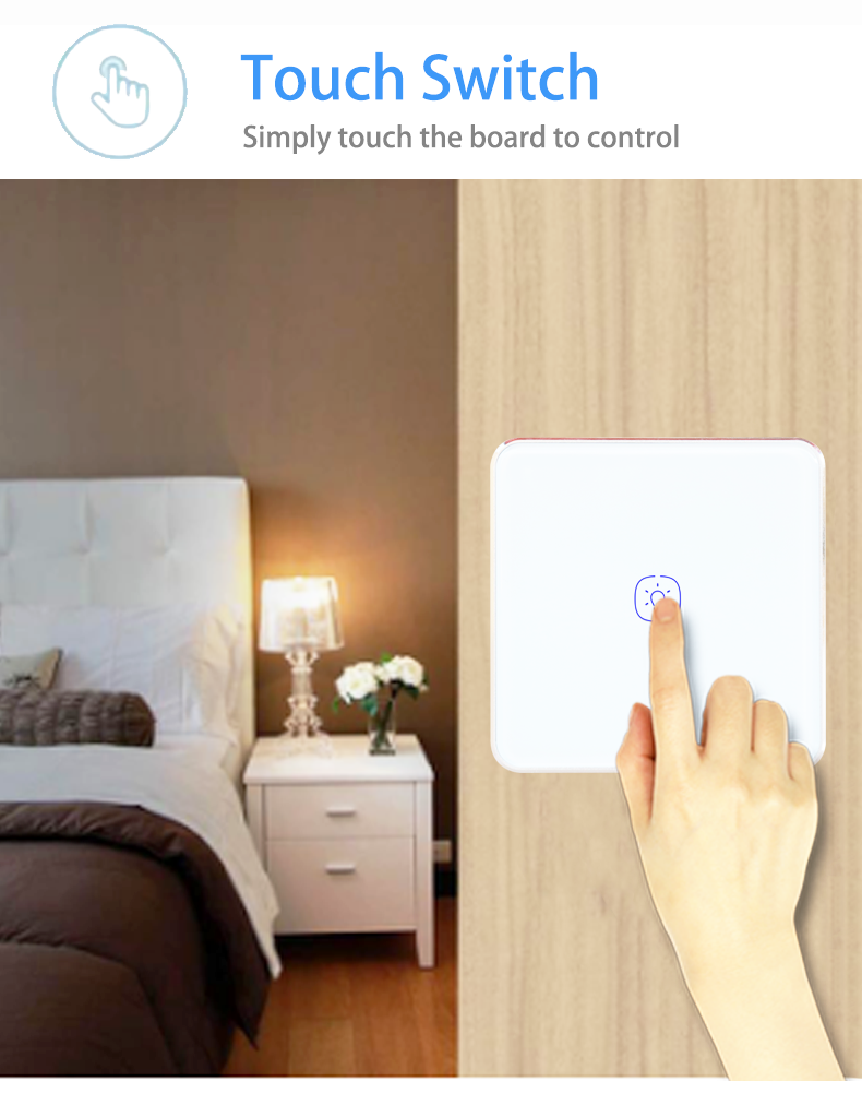 WiFi 240V 2 Gang Tuya Smart Switch With Google Alexa Voice Control